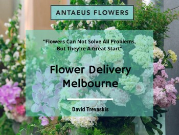 Same-Day Delivery of Flower Bouquets in Melbourne | Antaeus Flowers