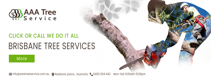 The tree removal experts are now here at AAA Tree Service