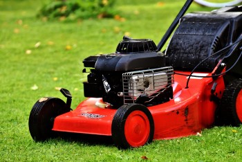 Best Garden Maintenance Service in Brisbane