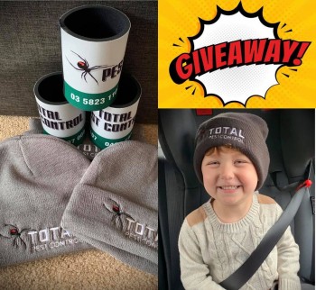 All you need to know about Pest Control Shepparton!