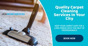 Professional Carpet Cleaning In Adelaide | Book Now
