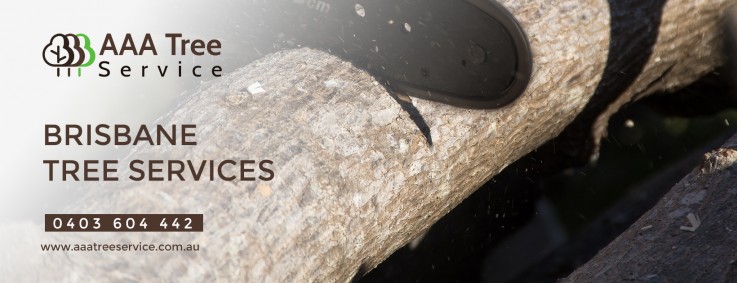 The best stump grinding service provider is AAA Tree Service 