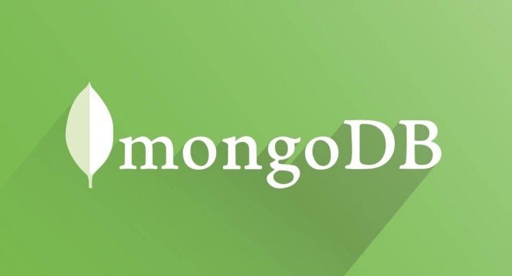 MongoDB Database Developers