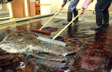 Carpet Cleaning Hawker