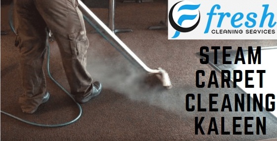 Carpet Cleaning Kaleen