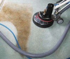 Carpet Cleaning Peppermint Grove