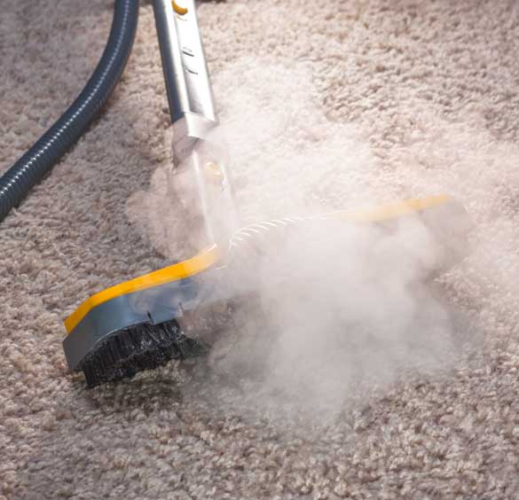 Carpet Cleaning Peppermint Grove