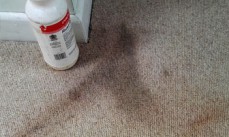 Carpet Cleaning Braddon