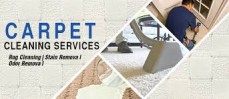 carpet cleaner solution in western australia