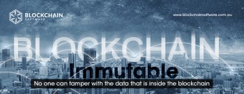 Know how to get best analytics to improve your business with Blockchain Software 