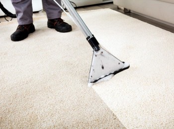 Carpet Cleaning Watson