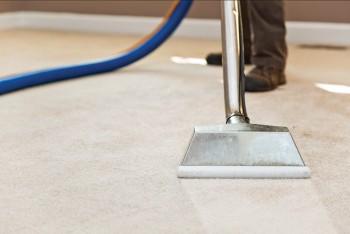 Carpet Cleaning Bentley