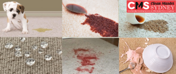 Carpet Cleaning Meadowbank