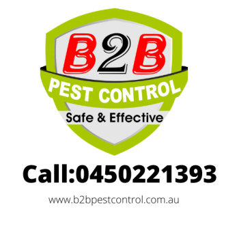 German cockroach Extermination From $90* (B2B PEST CONTROL)