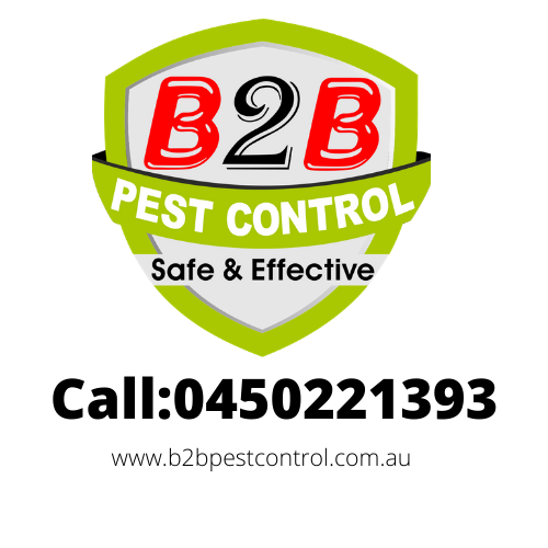 German cockroach Extermination From $90* (B2B PEST CONTROL)