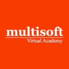 Multisoft Virtual Academy