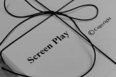 Professional Screenwriter