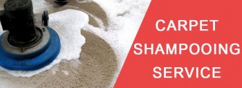 Carpet Cleaning Narangba