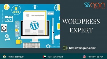 Developing websites with the best team of WordPress expert