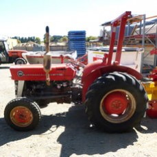 Massey Ferguson Tractors for sale 