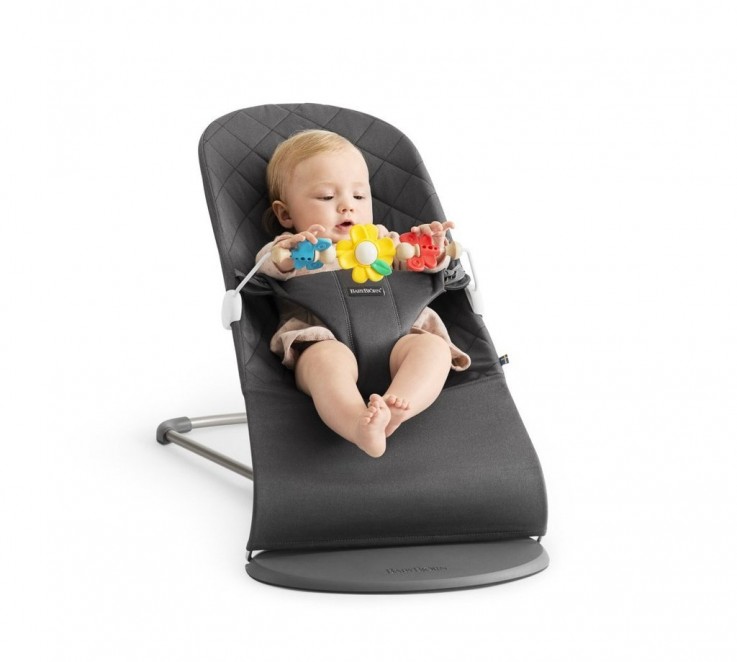 Baby Bjorn Toy For Bouncer