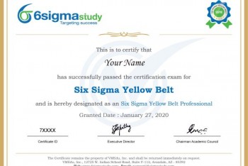 Digital Professional Certificates