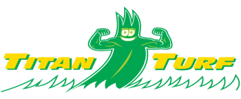 The Best Team for Artificial Grass Adelaide