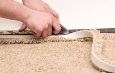 Carpet Cleaning Glebe