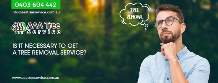 Want any commercial tree services? Contact AAA Tree Service today