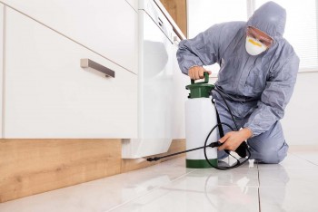 Top line Group services - Pest control services in sydney 