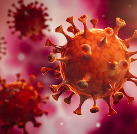 VeriDoc Global has brought an advanced solution know what? 