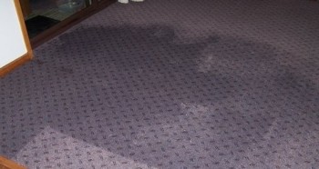 Flood Damage Restoration Frankston