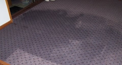 Flood Damage Restoration Frankston