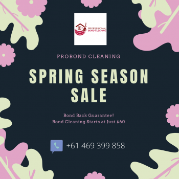 ProBnd Cleaning Spring Season Sale. 