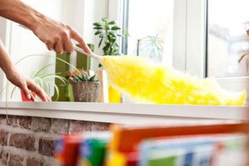 Commercial or Residential Window Cleaning Hoppers Crossing - VIC Cleaning