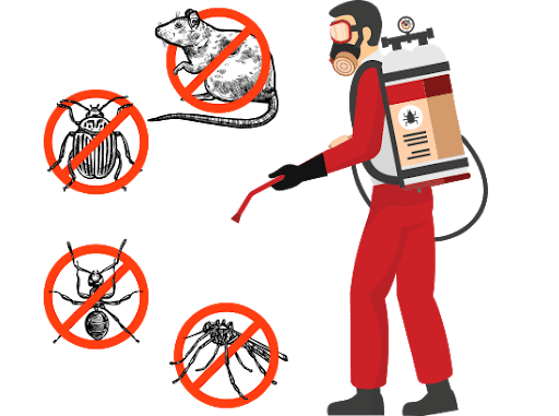 Bed Bugs pest control perth