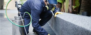 Best Pest Control Services&lrm; in Brisbane