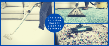 Carpet Cleaning Erskineville