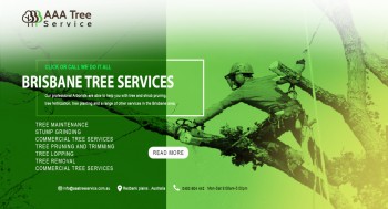 The best way of maintaining your trees are at AAA Tree Service 