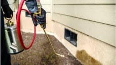 Pest Control Frankston