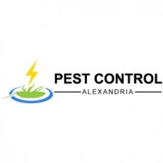 Pest Control Alexandria