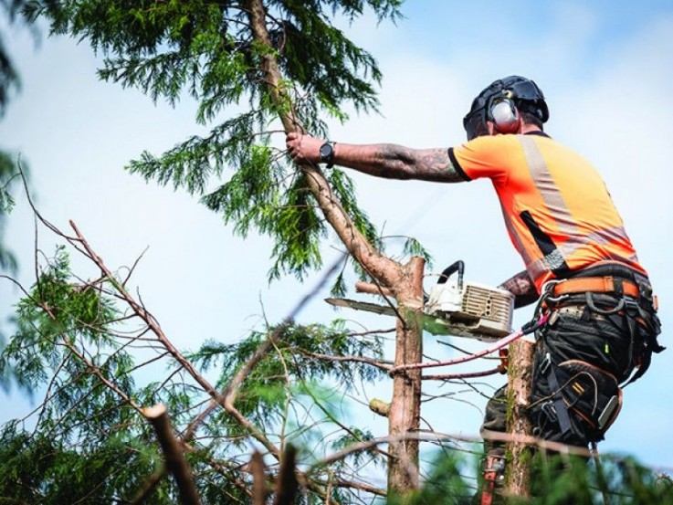 Garden and Tree Services