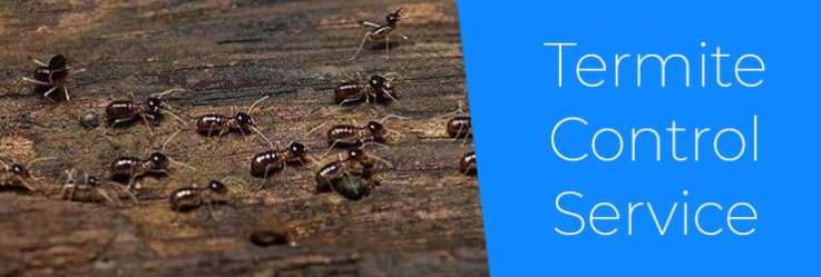 Termite Control Melbourne