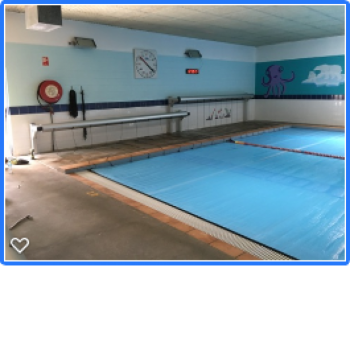 Swimming Pool Industry Educational, Freehold
