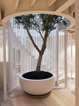 Franchise, Garden Nursery Hire and Rent