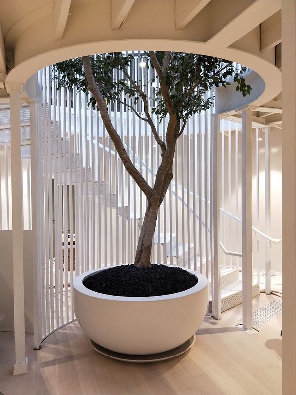 Franchise, Garden Nursery Hire and Rent