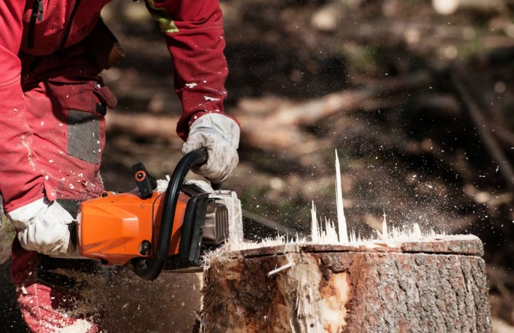 Stumps Removal Adelaide| Tree Removal Se