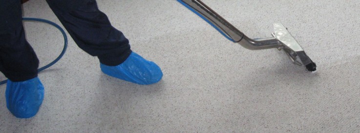 Steam Cleaning Service in Melbourne
