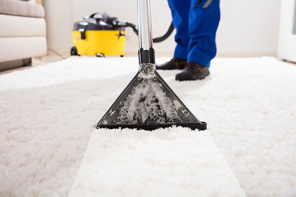 Carpet Cleaning Success