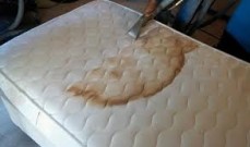  Best Mattress Cleaning Hobart
